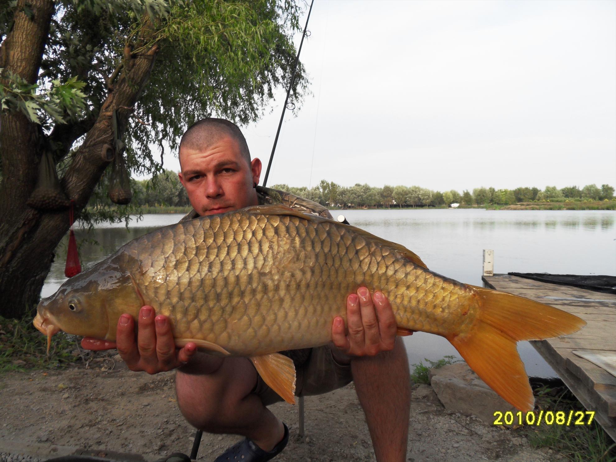 Nagykallo 2010 - nagykallo-98.JPG